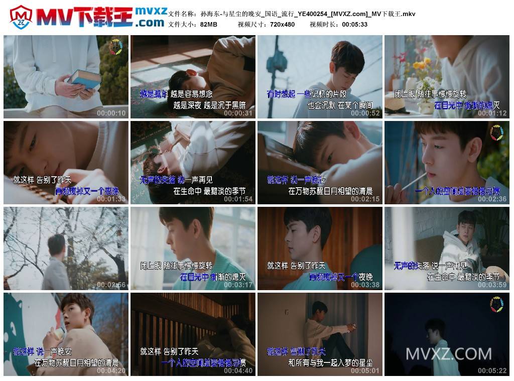 孙海东-与星尘的晚安_国语_流行_YE400254